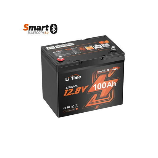 LiTime 12v 100ah Lithium Battery Group 24