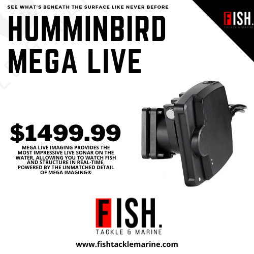 Humminbird MEGA Live Imaging Transducer [710304-1] – Fish Tackle