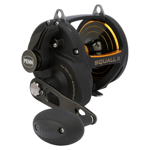 PENN Squall II Lever Drag SQLII60LD Conventional Reel [1594618]