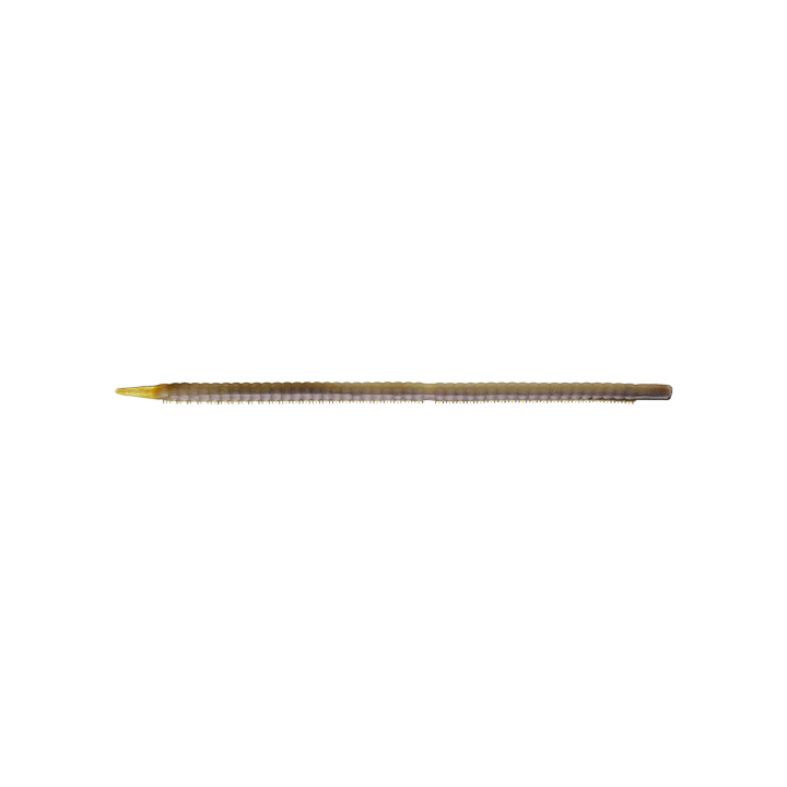Deps Kincoo Air Worm 13"