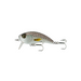 Baby Speck