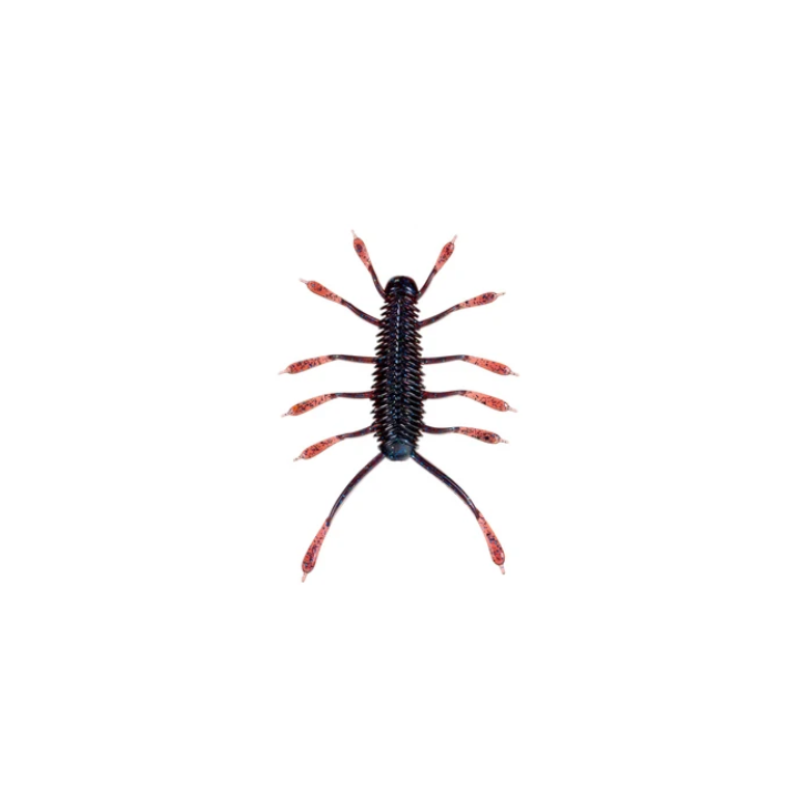 6th Sense  HuzzBug