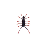 6th Sense  HuzzBug