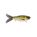 #08 Grand Shad