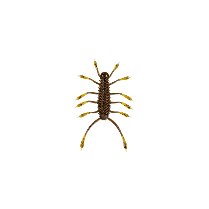 6th Sense  HuzzBug