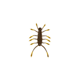 6th Sense  HuzzBug