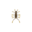 6th Sense  HuzzBug