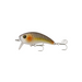 Live Croaker