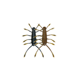 6th Sense  HuzzBug