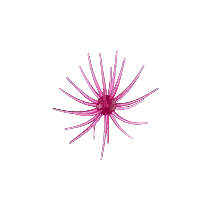 Hag’s Prickly Pear