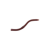 Galapagos LashWave 6.5in