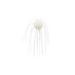 #389 White
