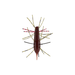 Zari Bug #365