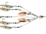 Picasso Bait Ball School-E-Rig