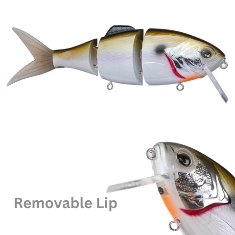 Geecrack Gilling Neo 160F  Swimbait